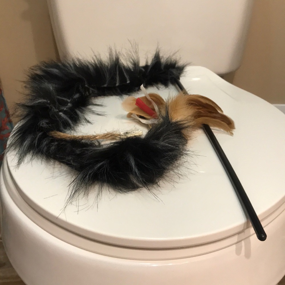 Cat toy
